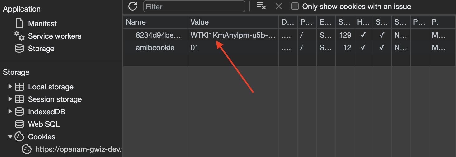 Screenshot of the User’s Cookie in Devtools